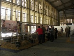 phoca_thumb_l_noviembre 018